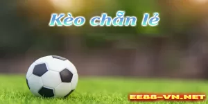 EE88 Chia sẻ cách chơi kèo chẵn lẻ thắng lớn của cáo thủ