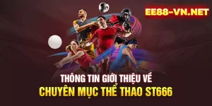 Cá cược Thể thao ST666 | Đa dạng sảnh cược, tỷ lệ kèo hấp dẫn | EE88