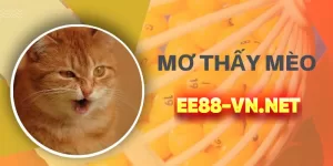 Giải mã giấc mơ thấy mèo: Bí ẩn điềm báo | EE88